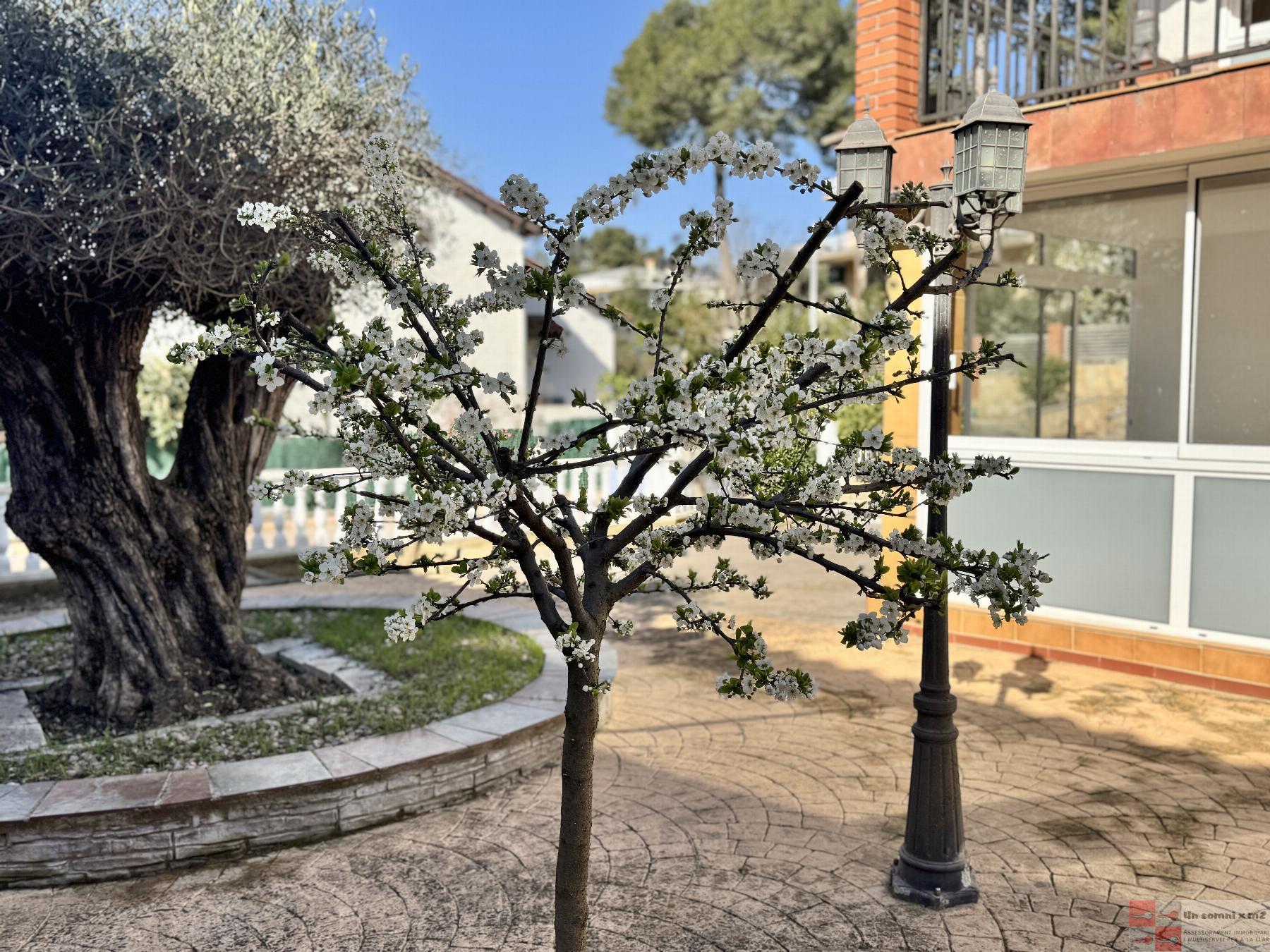 Jardí