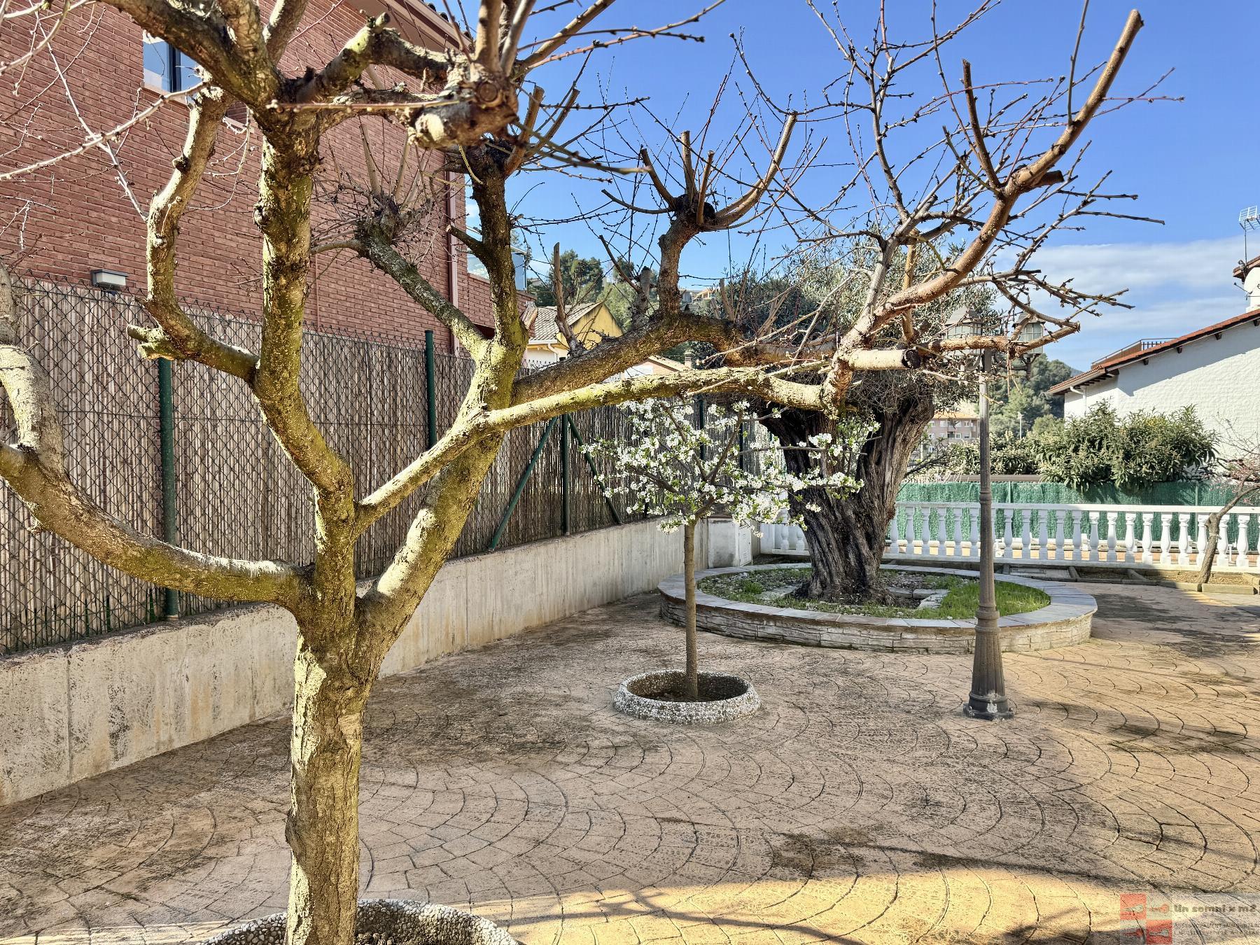Jardí