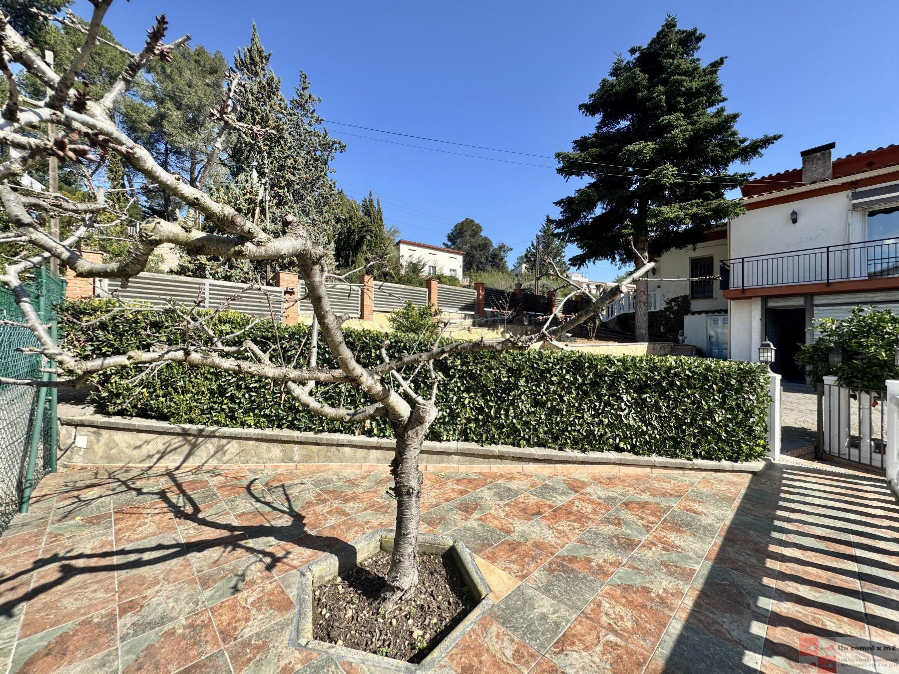 Jardí