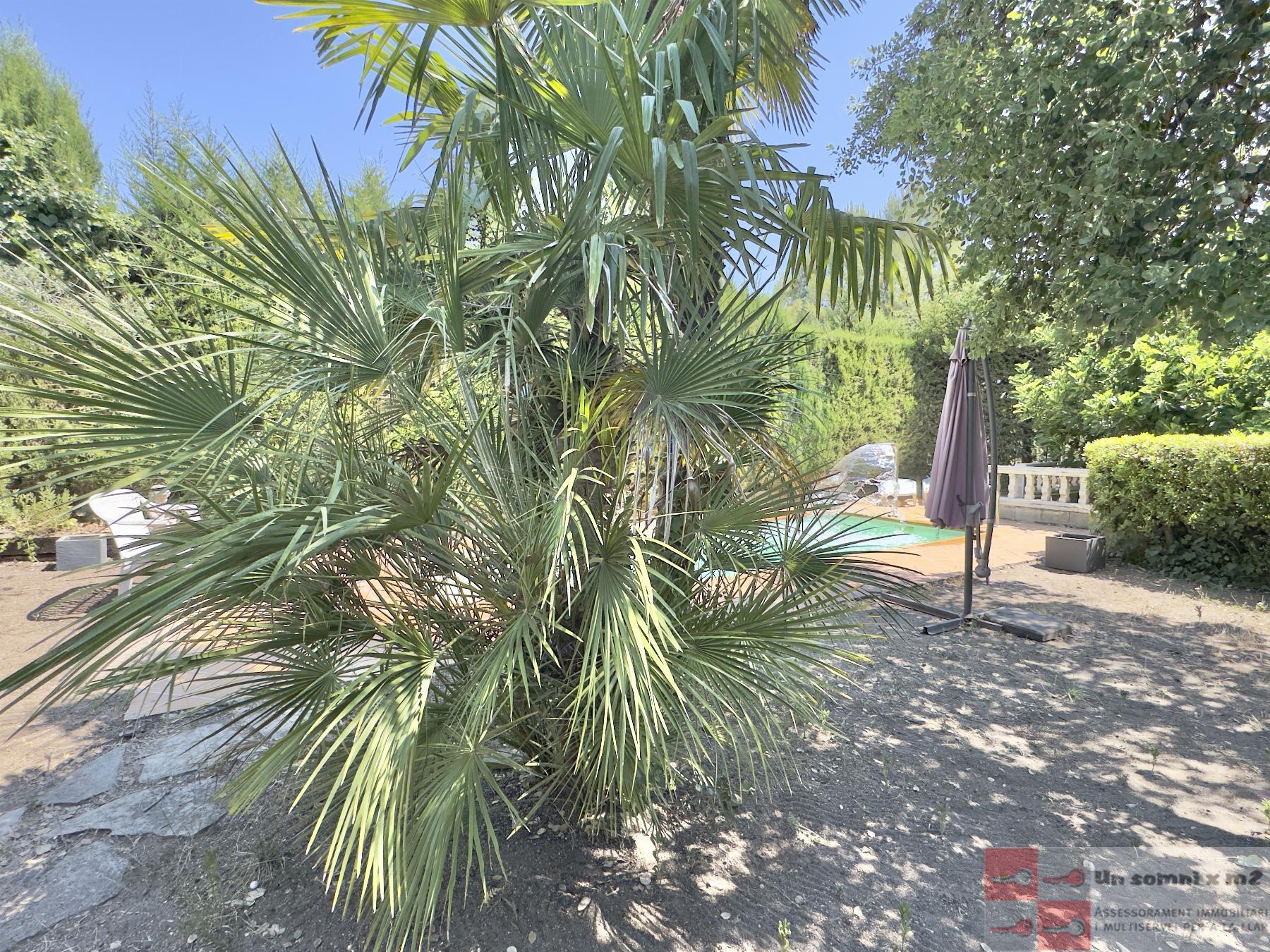 Jardín