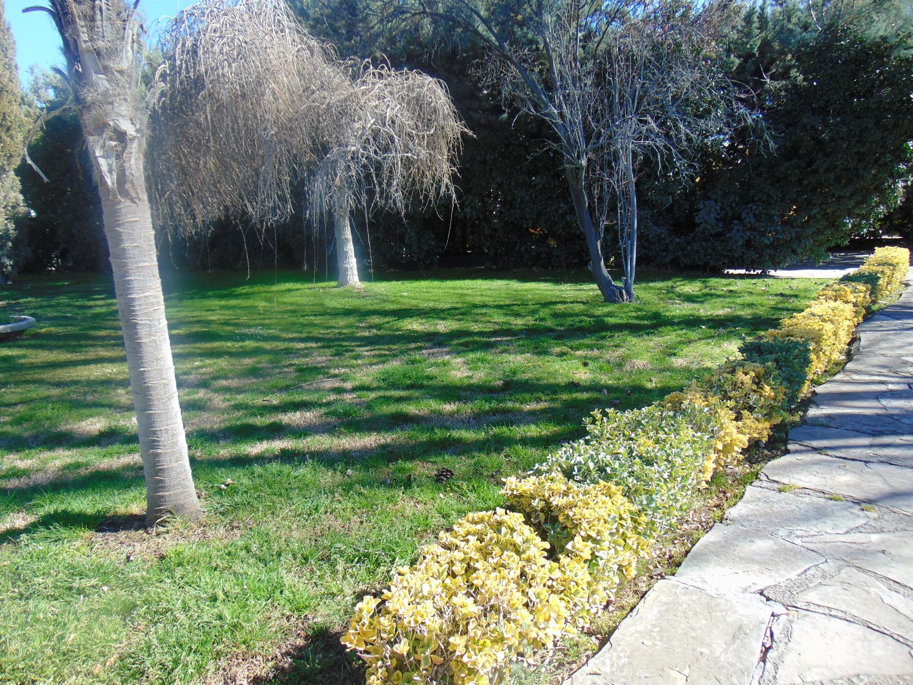 Jardín