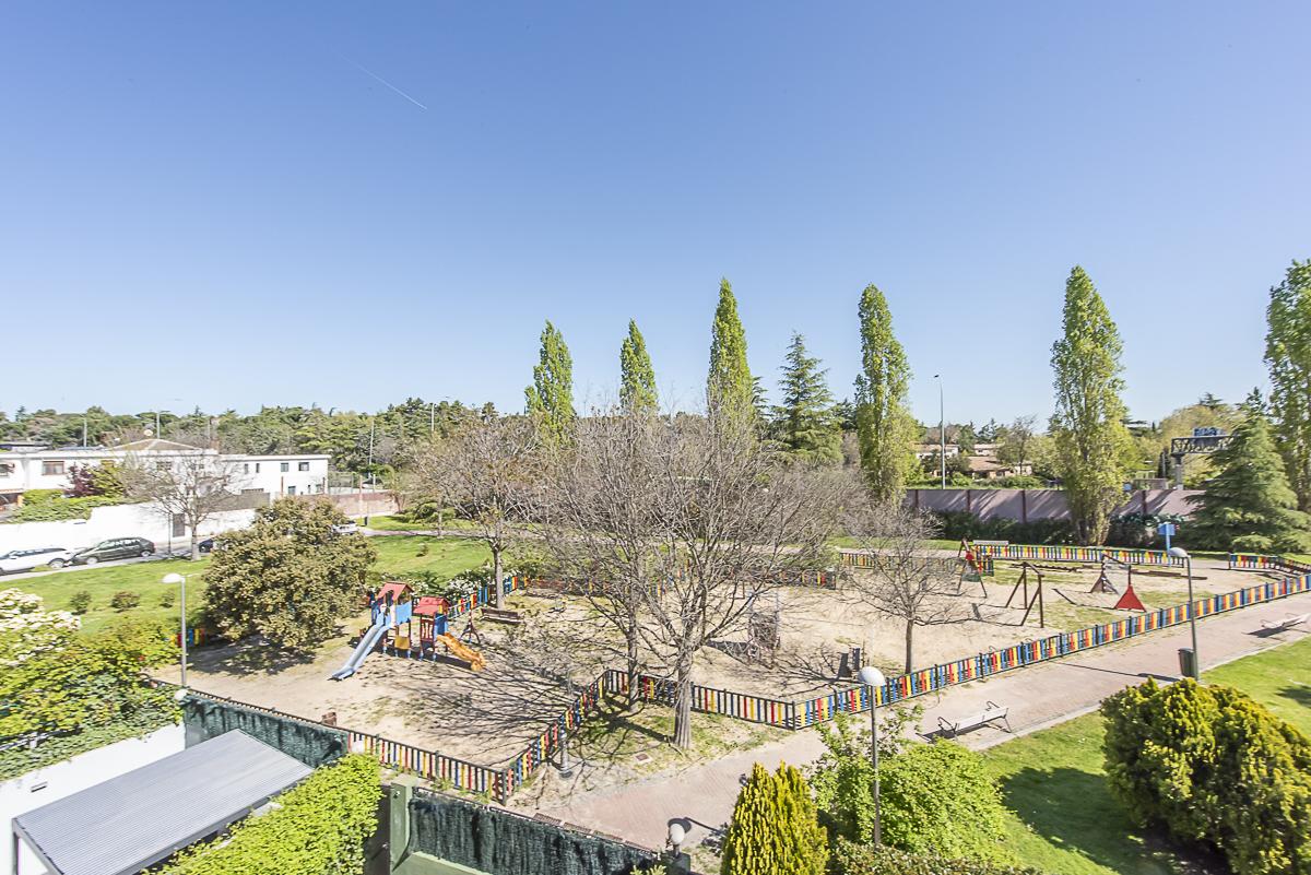 Jardín