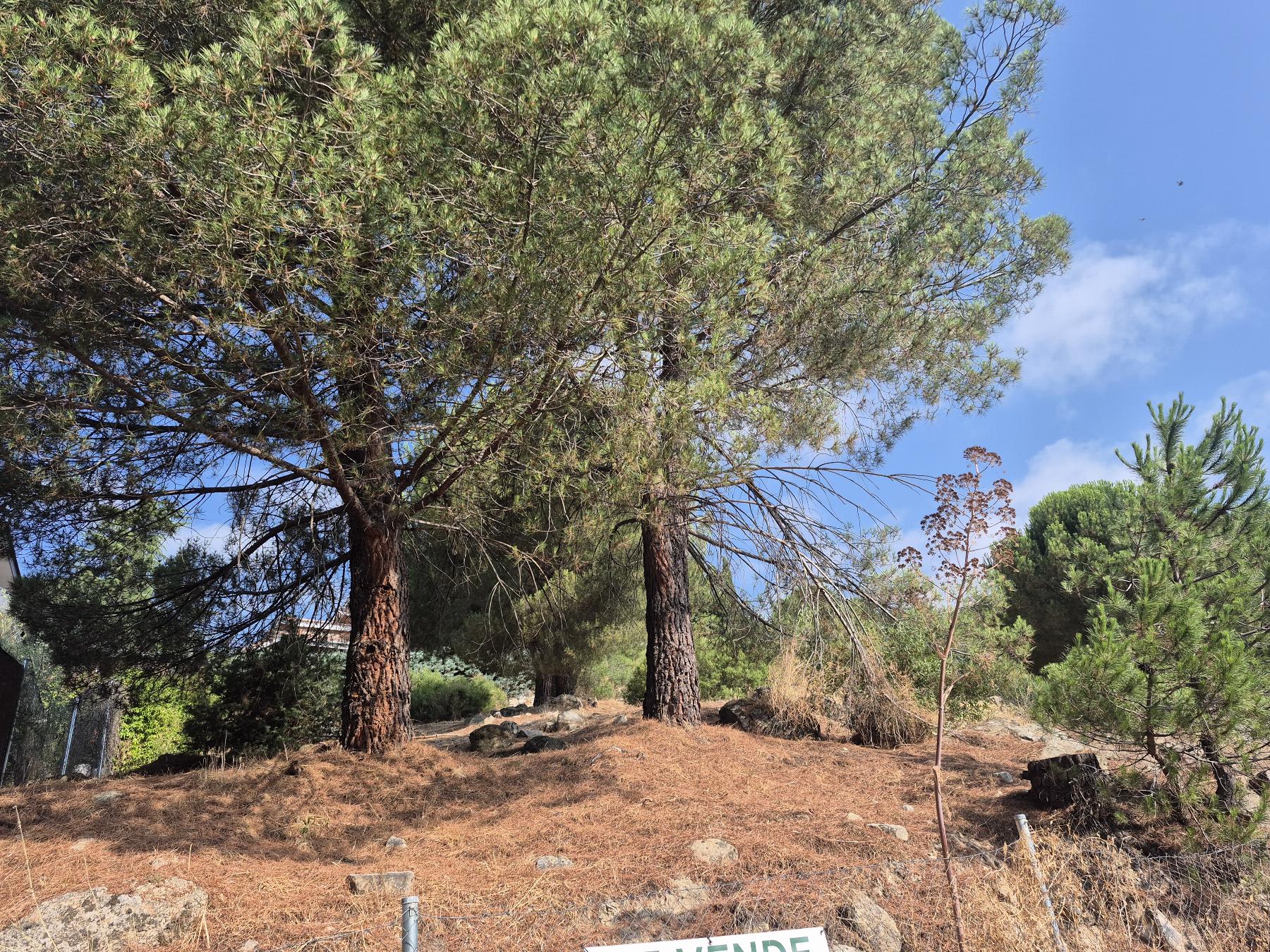 Venta de terreno en Torrelodones