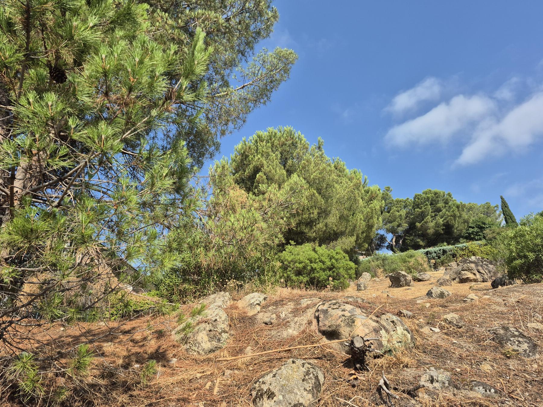 Venta de terreno en Torrelodones