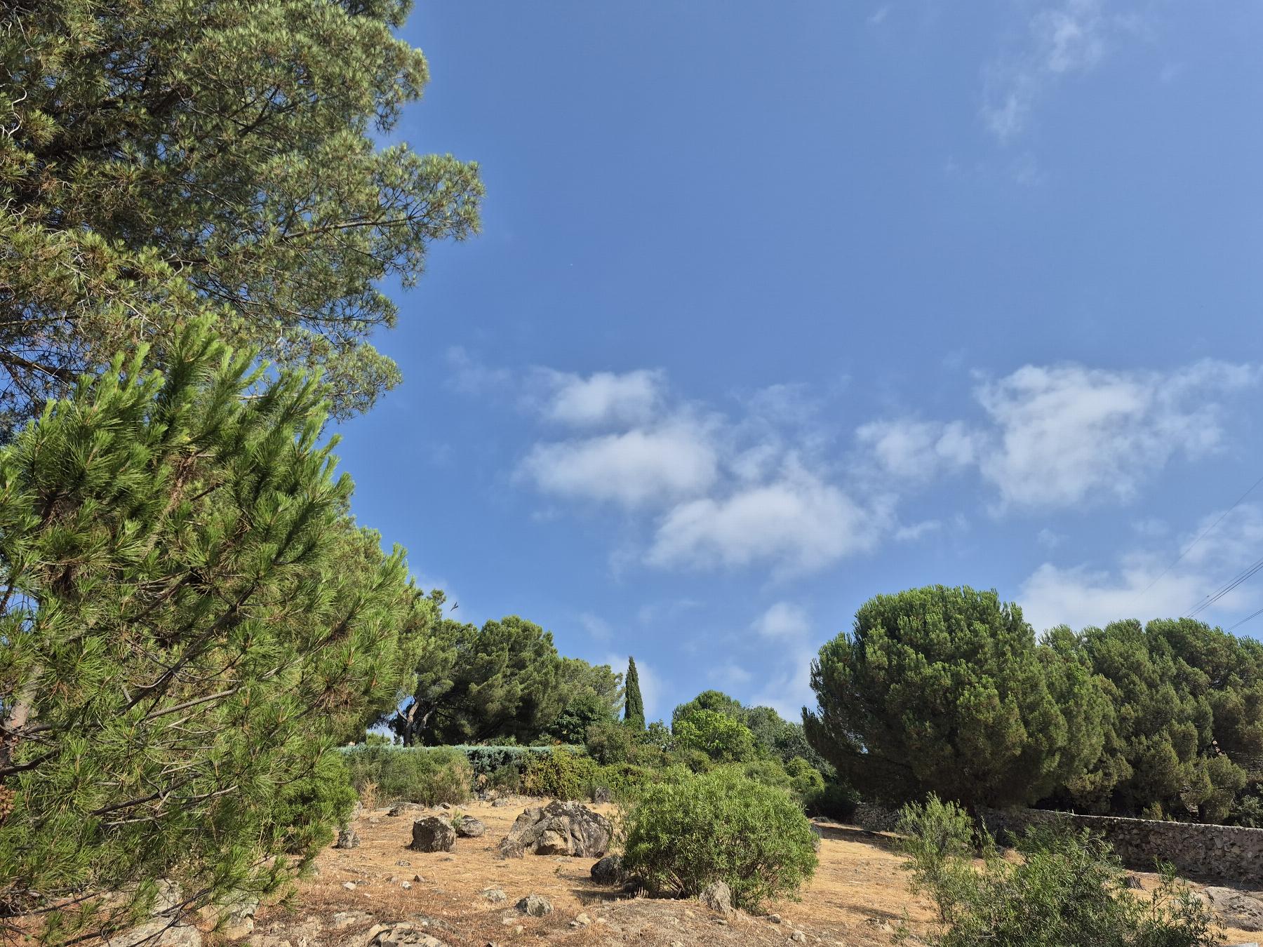 Venta de terreno en Torrelodones