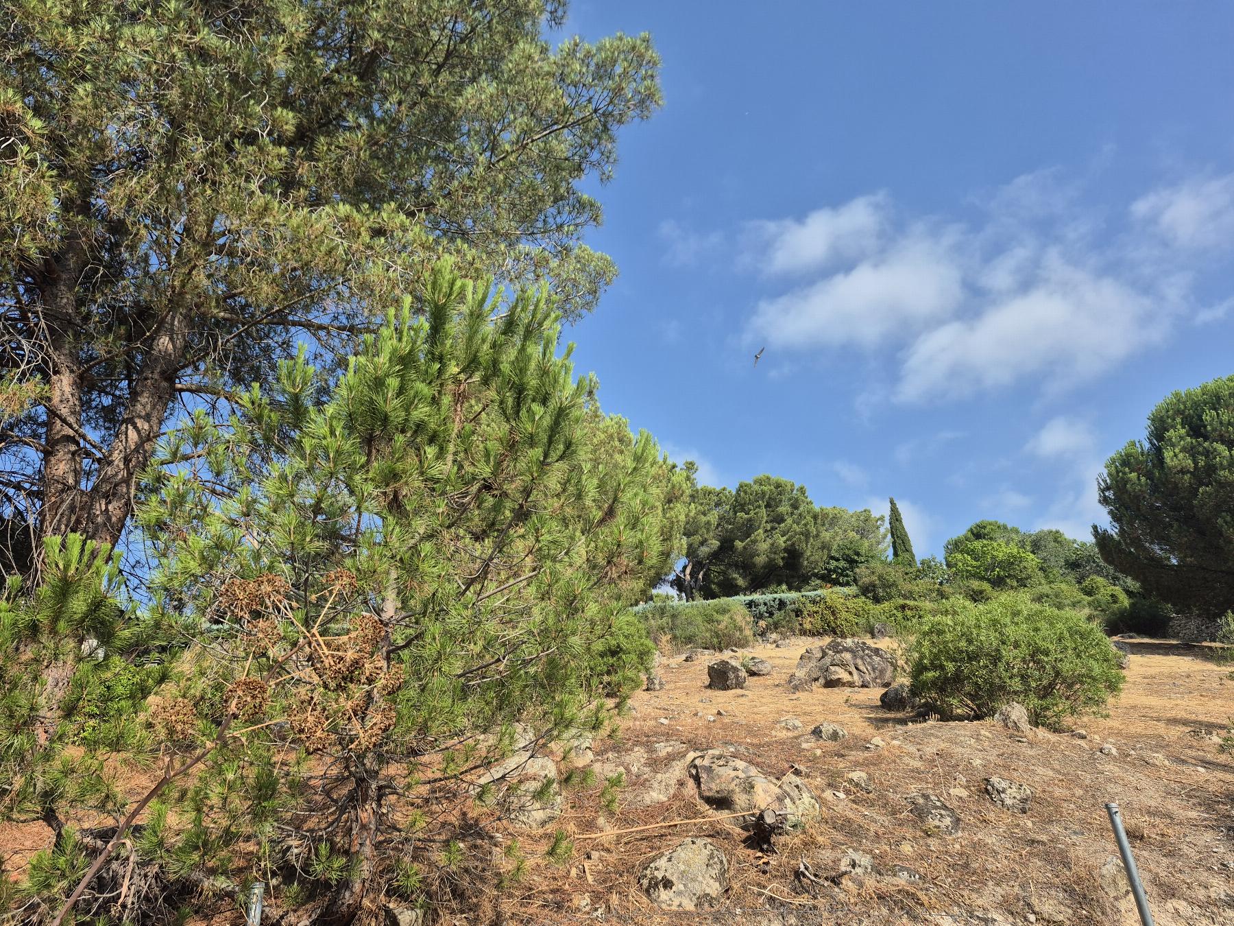 Venta de terreno en Torrelodones