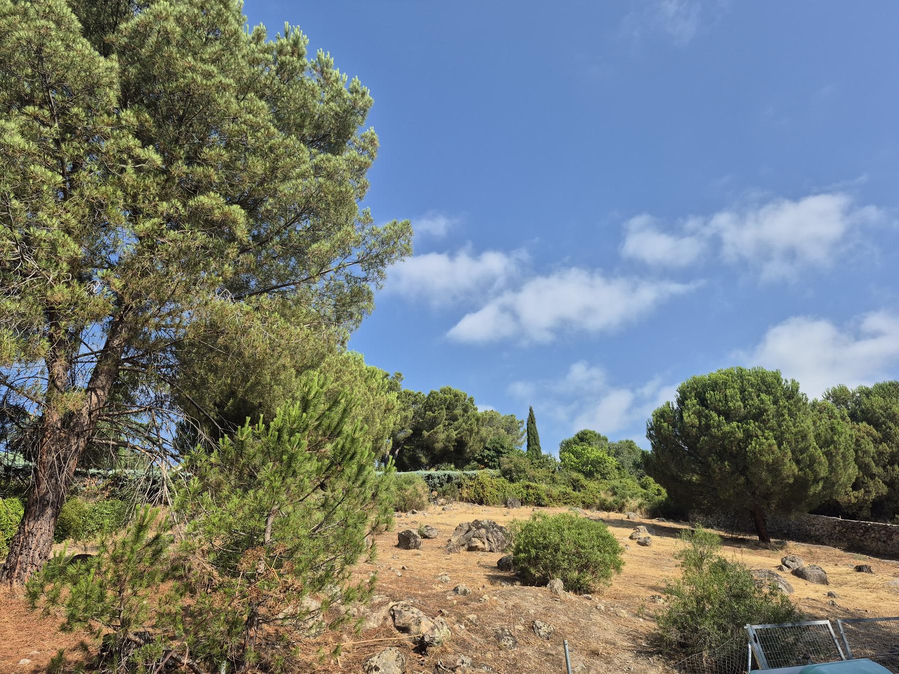 Venta de terreno en Torrelodones