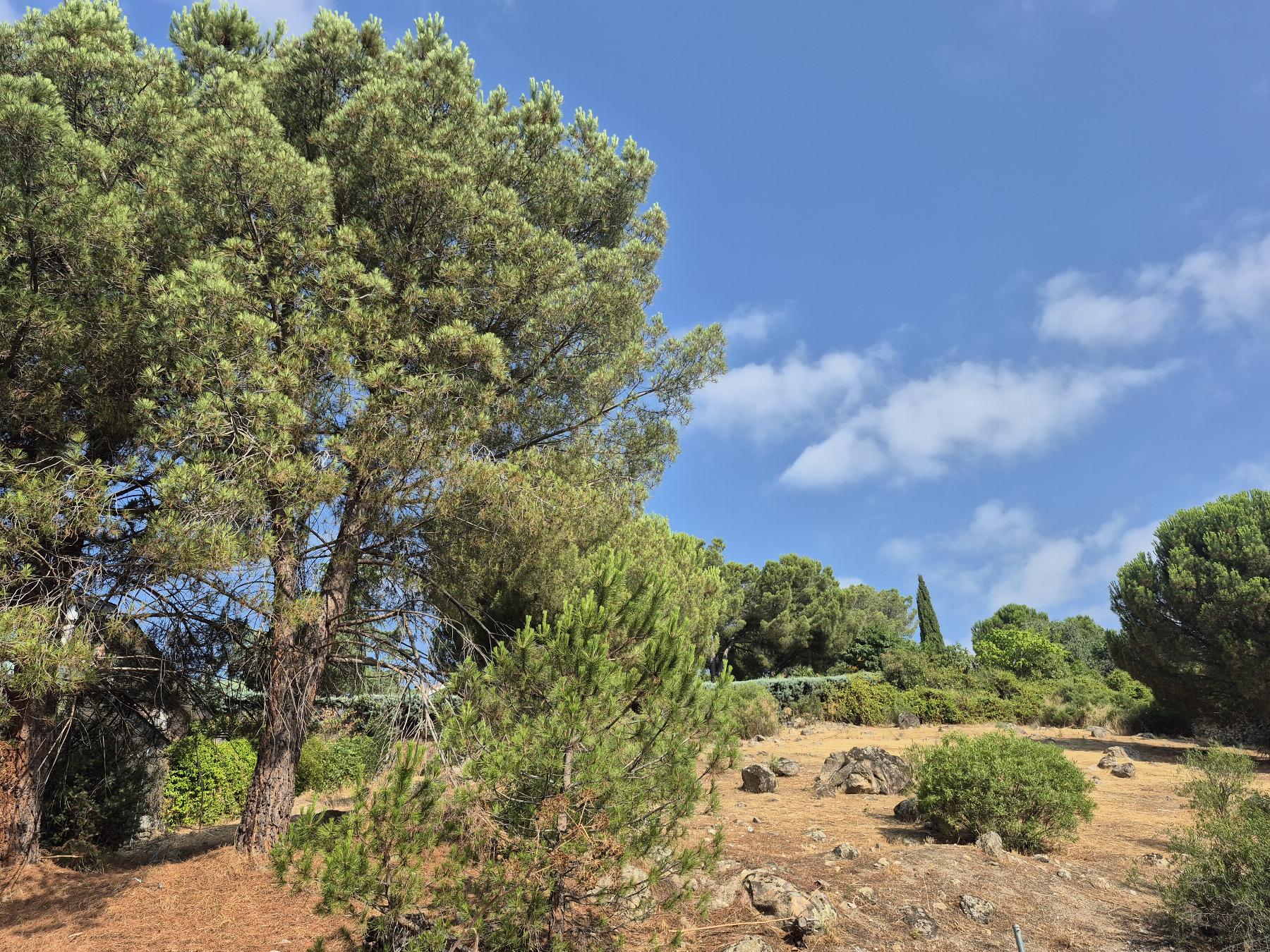 Venta de terreno en Torrelodones