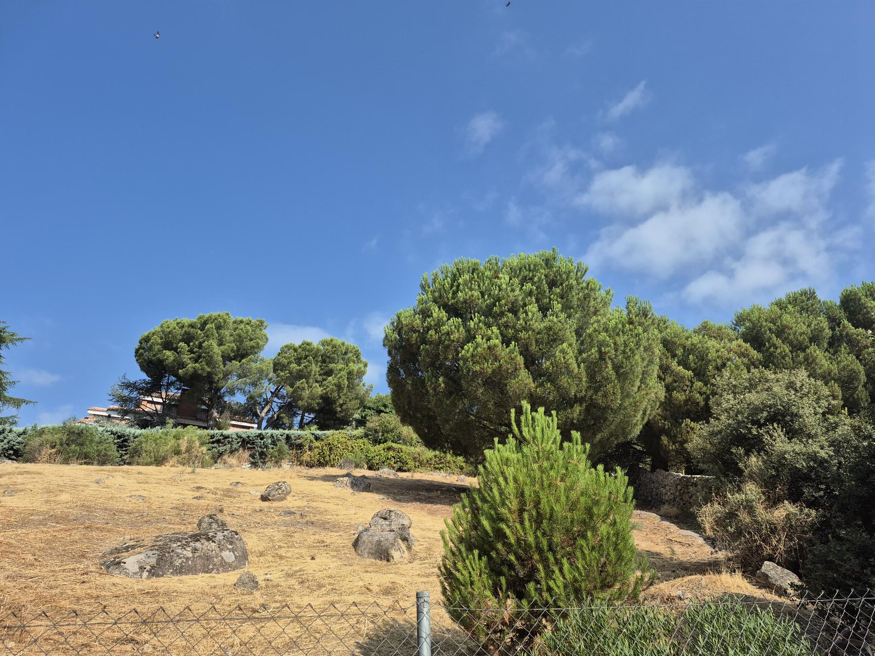 Venta de terreno en Torrelodones