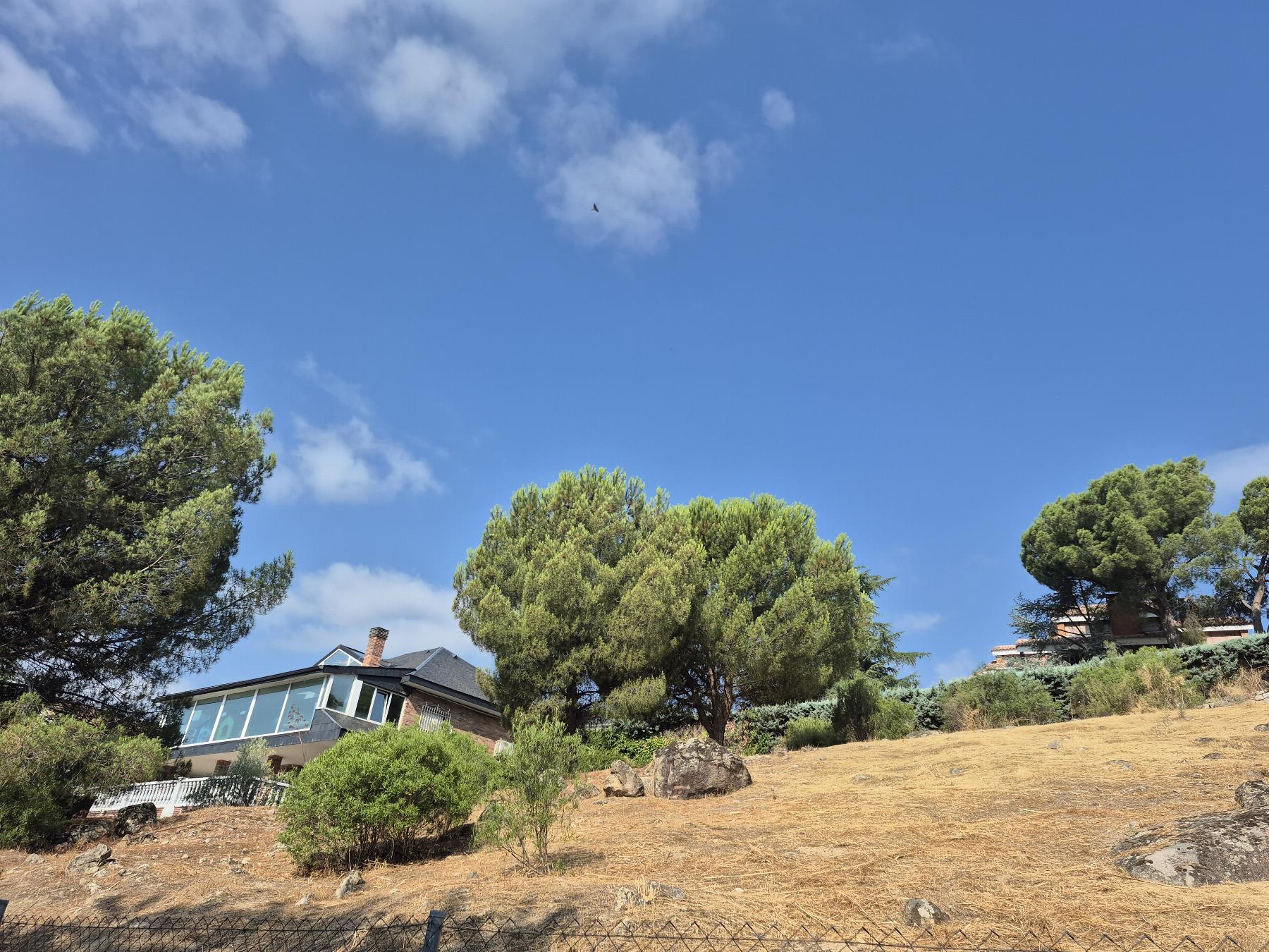Venta de terreno en Torrelodones