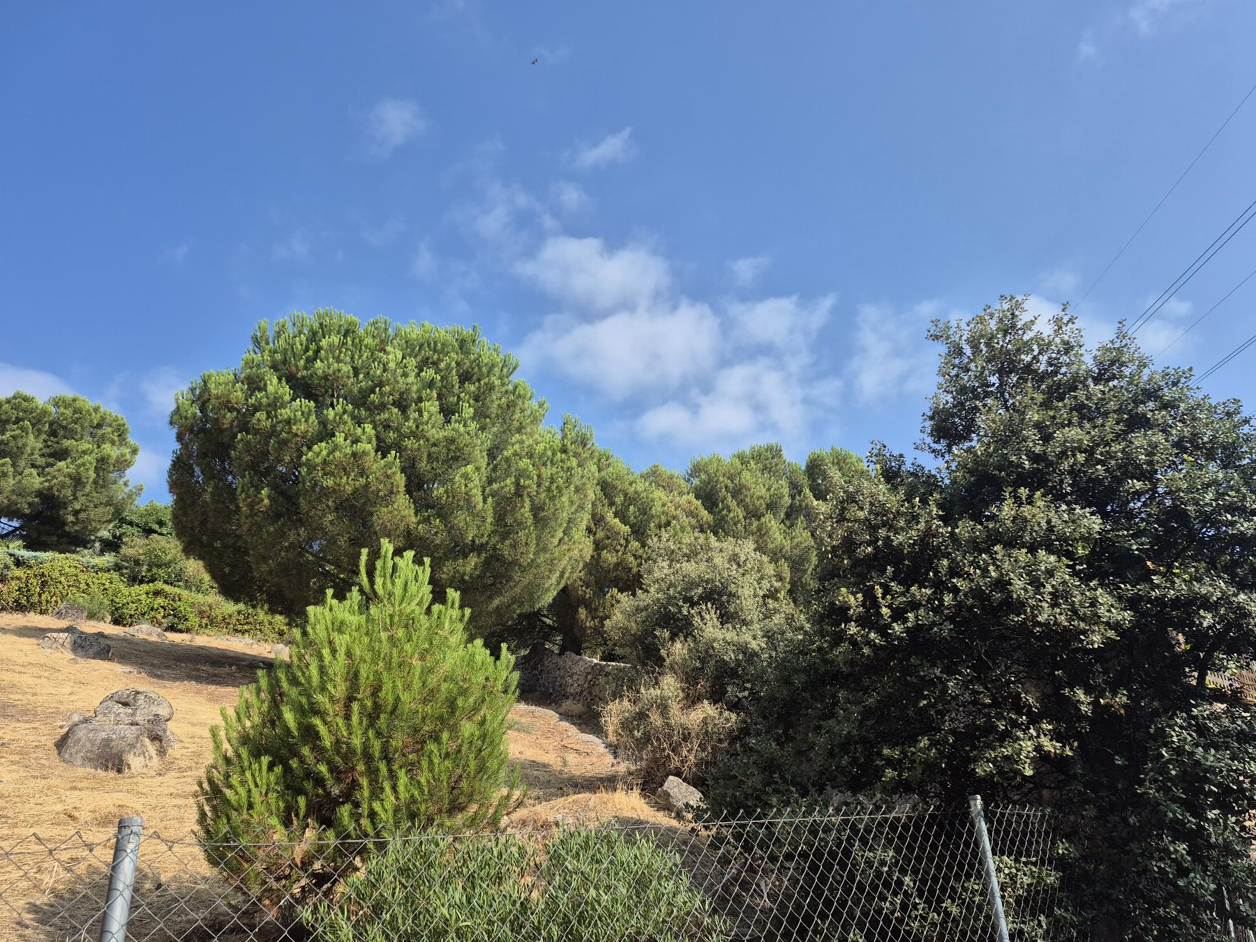 Venta de terreno en Torrelodones