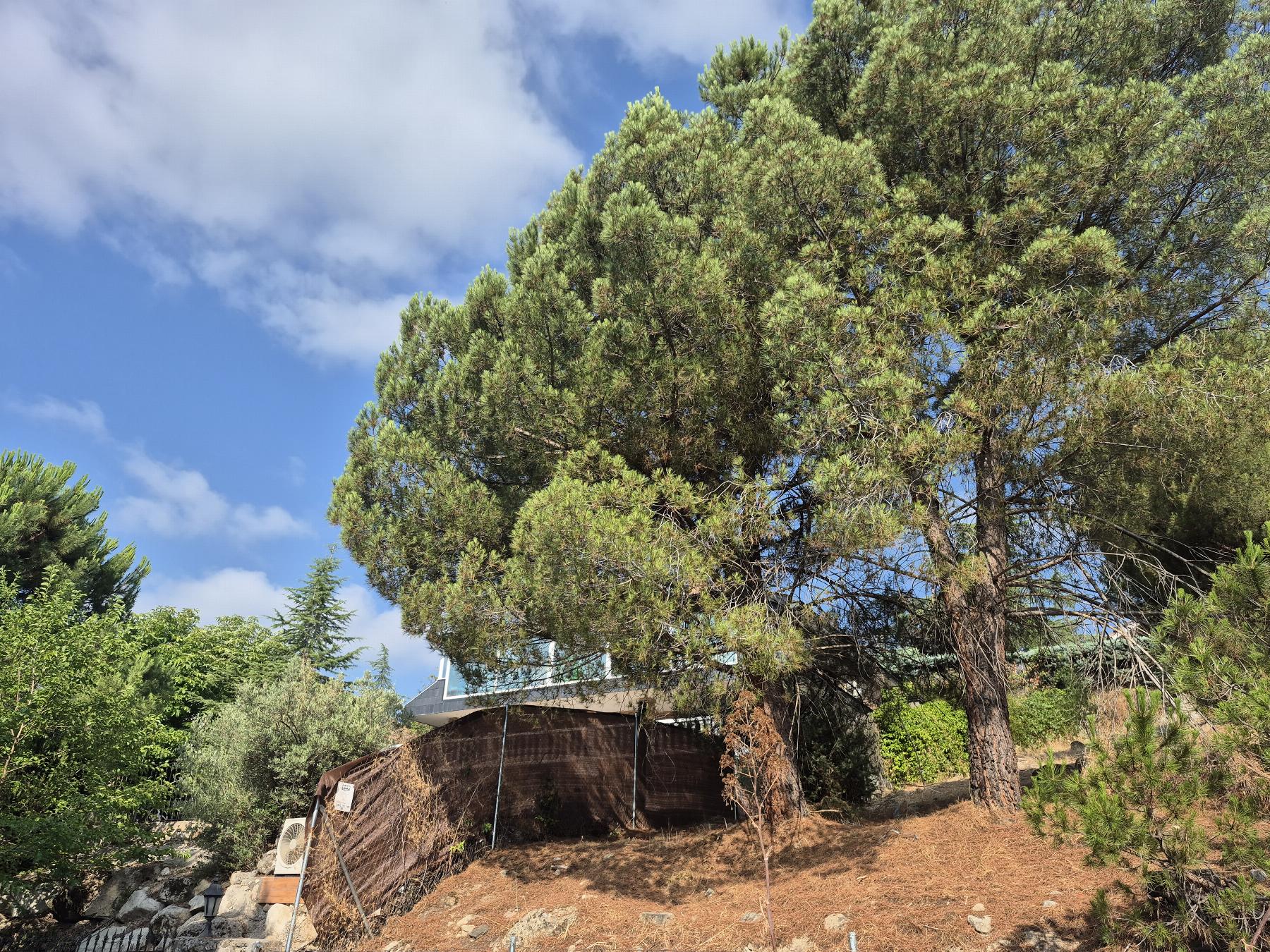 Venta de terreno en Torrelodones