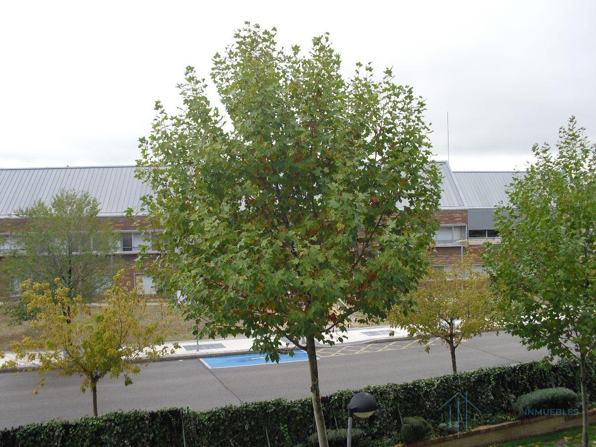 Vente de appartement dans Majadahonda