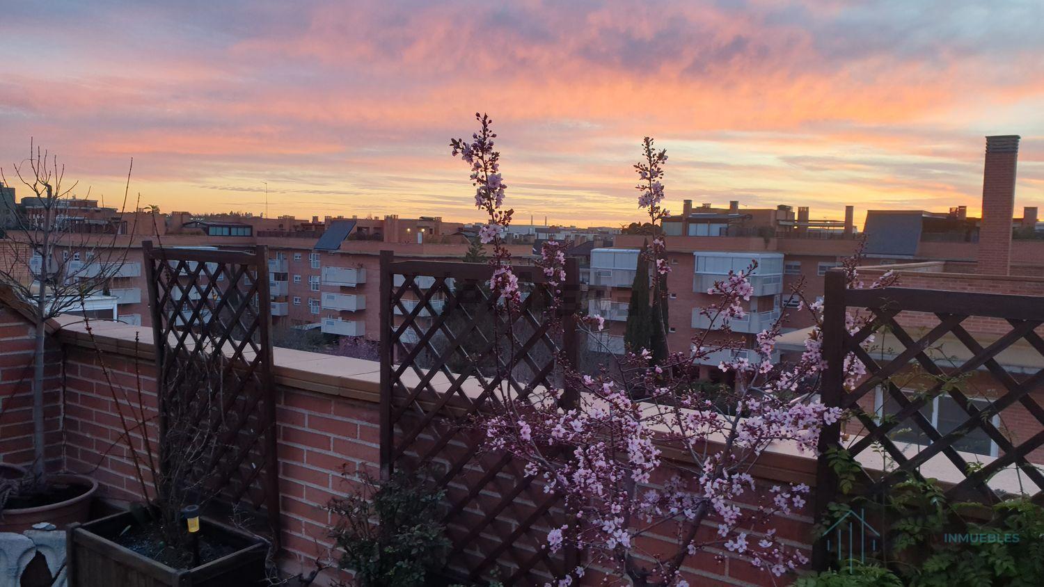 For sale of penthouse in Pozuelo de Alarcón