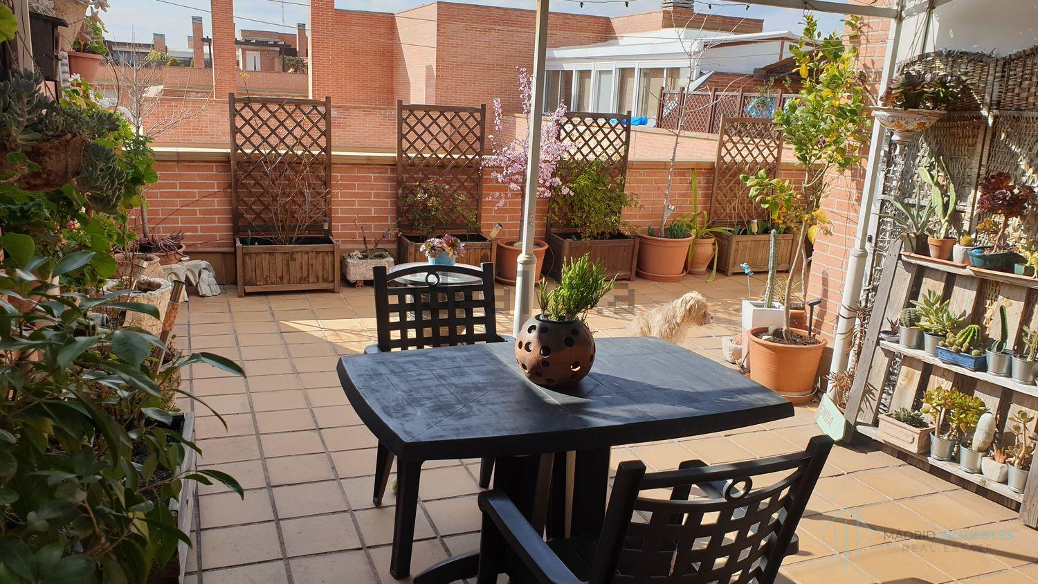 For sale of penthouse in Pozuelo de Alarcón