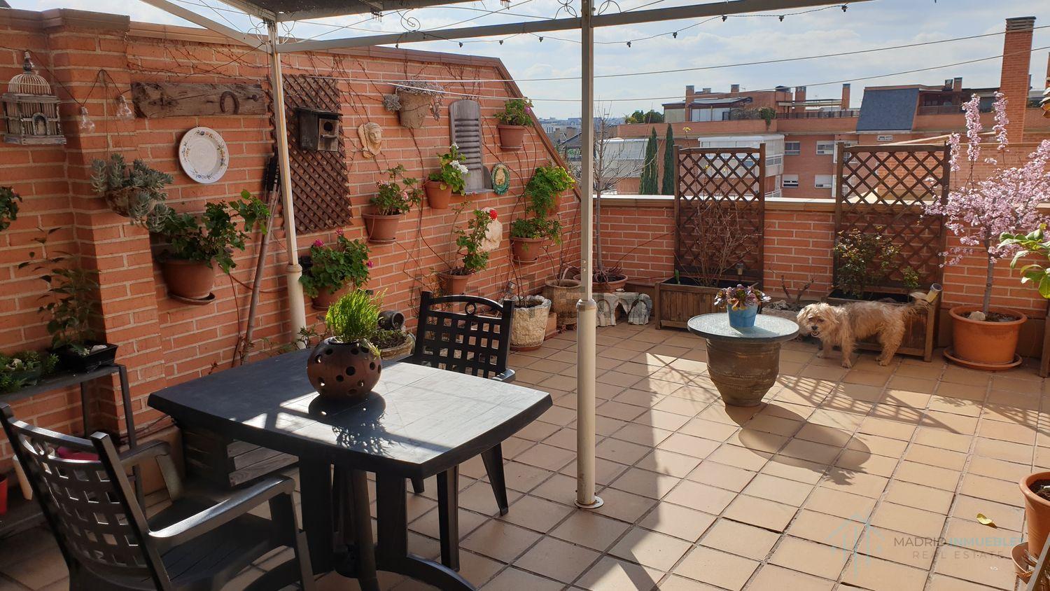 For sale of penthouse in Pozuelo de Alarcón