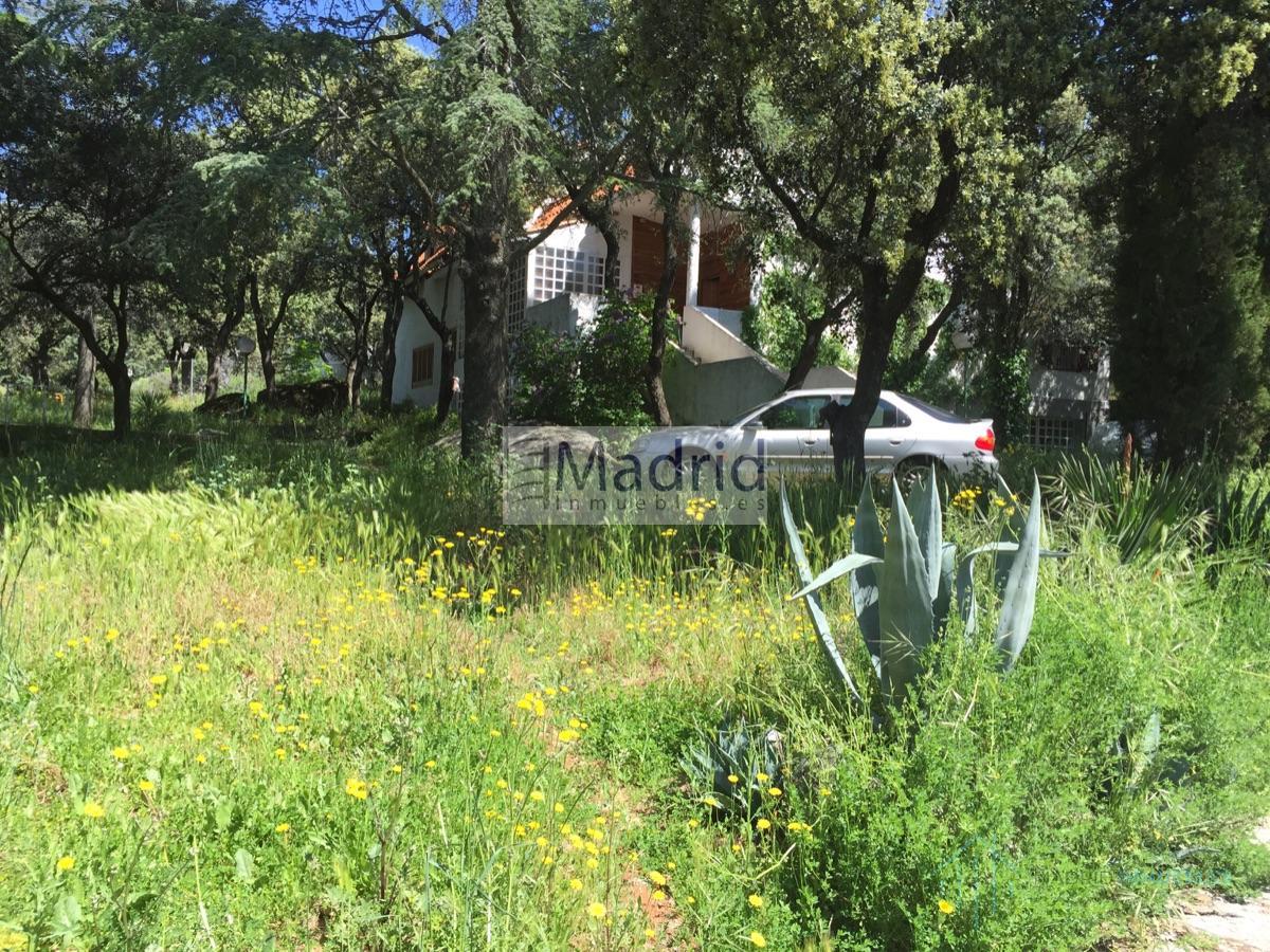 For sale of land in Collado Villalba