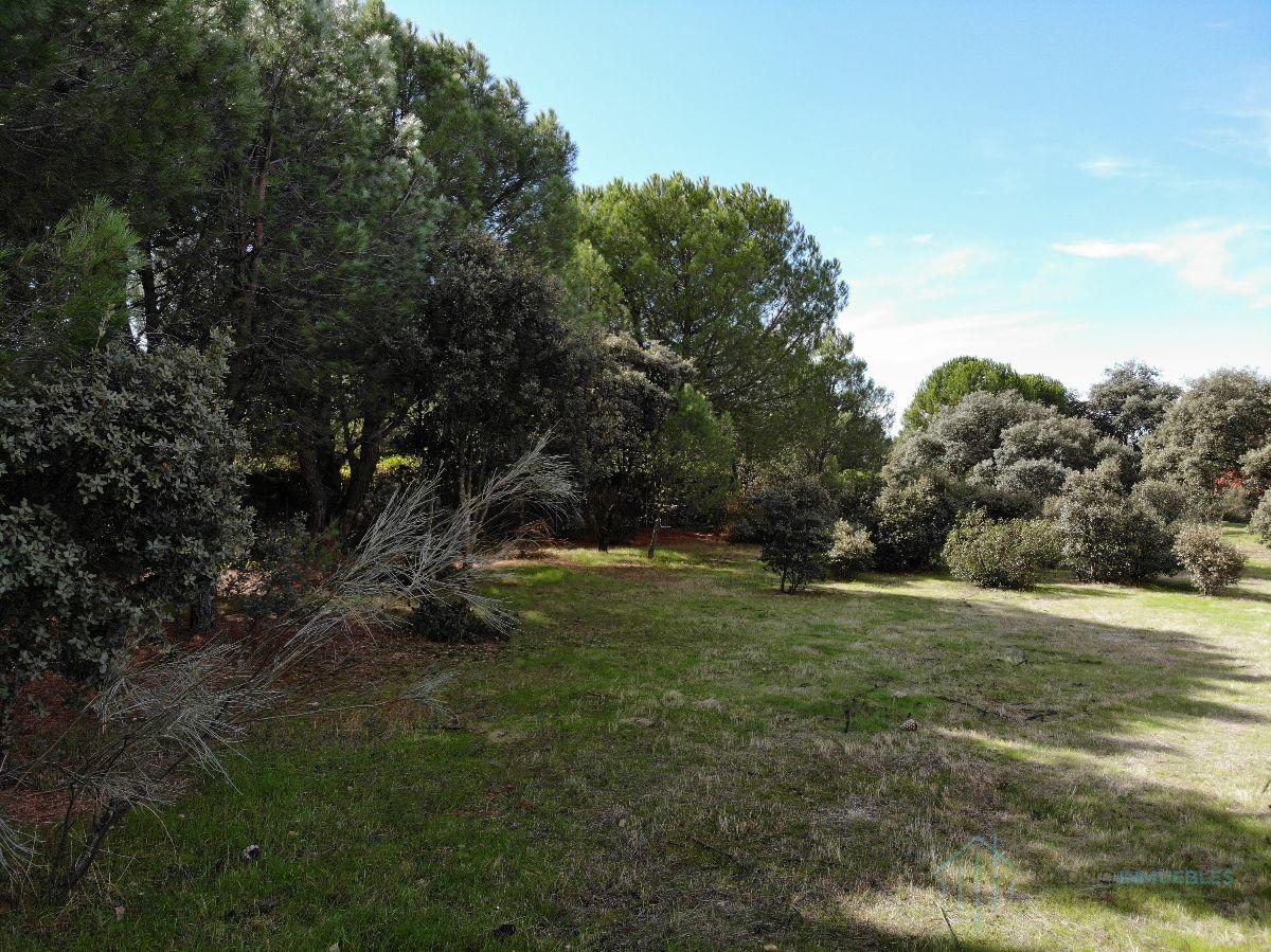For sale of land in Pozuelo de Alarcón