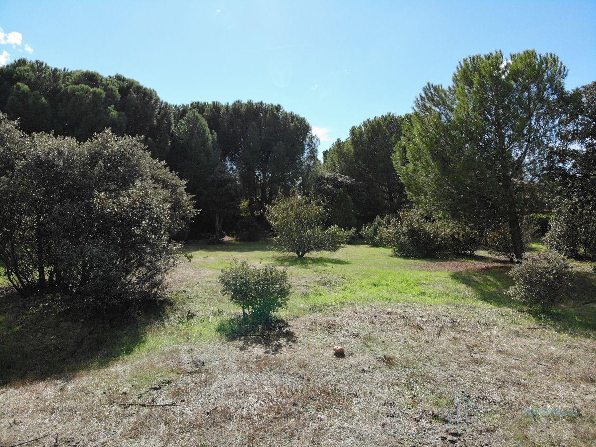 For sale of land in Pozuelo de Alarcón