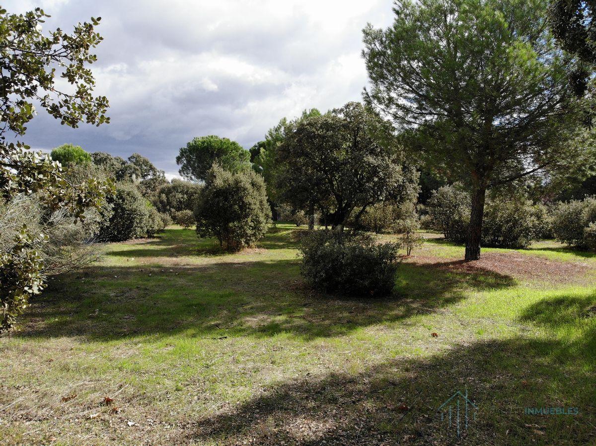 For sale of land in Pozuelo de Alarcón
