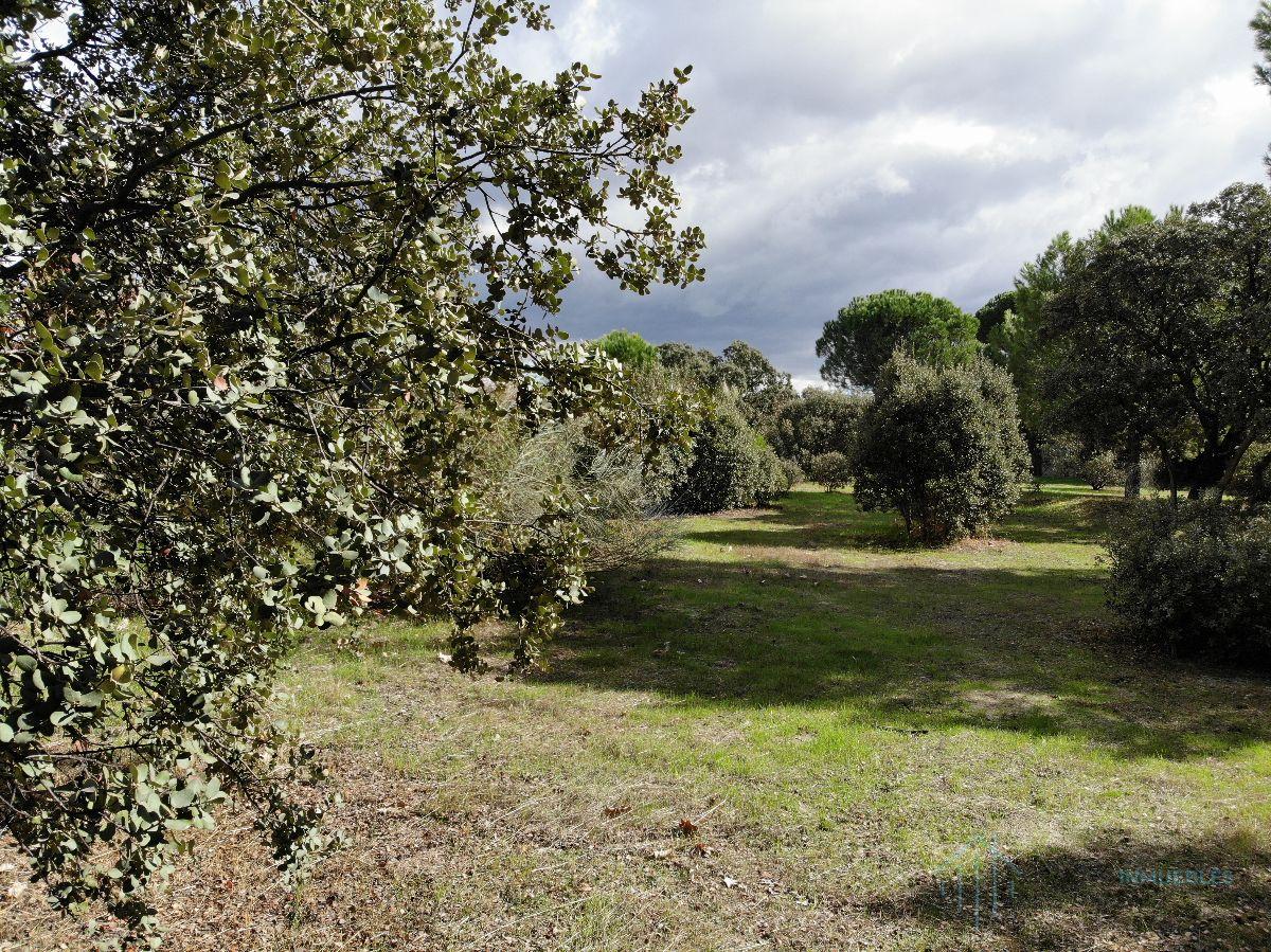 For sale of land in Pozuelo de Alarcón