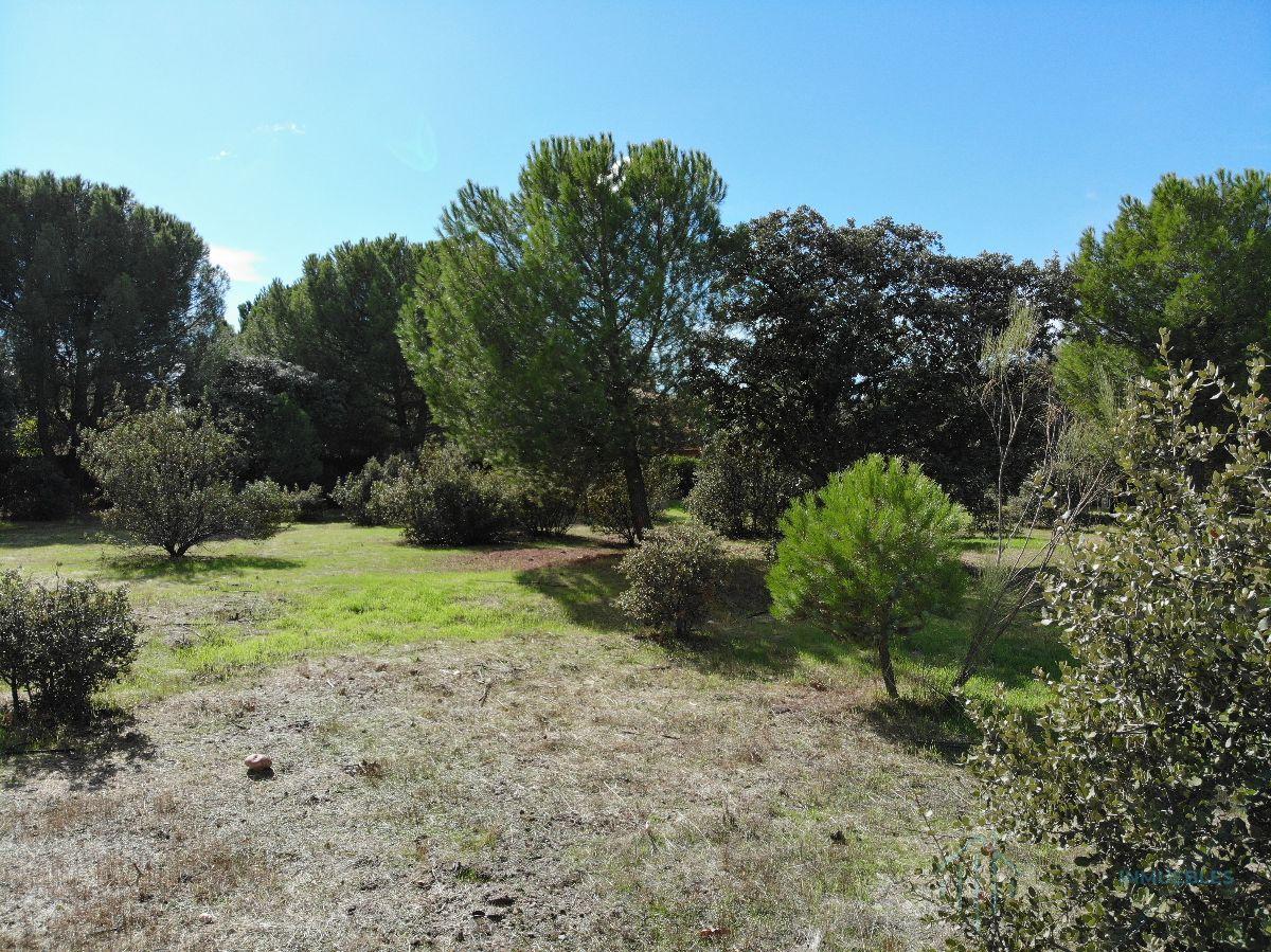 For sale of land in Pozuelo de Alarcón
