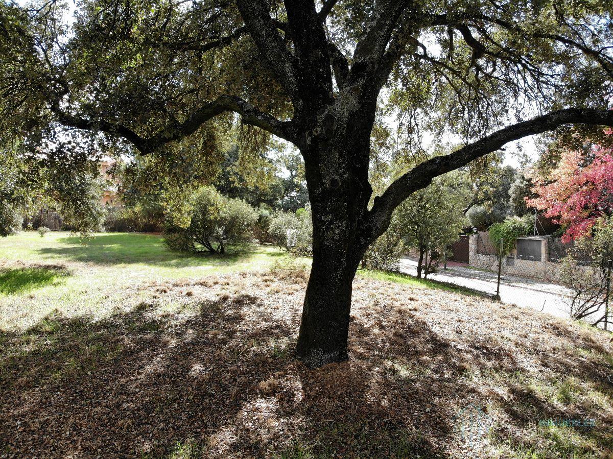 For sale of land in Pozuelo de Alarcón
