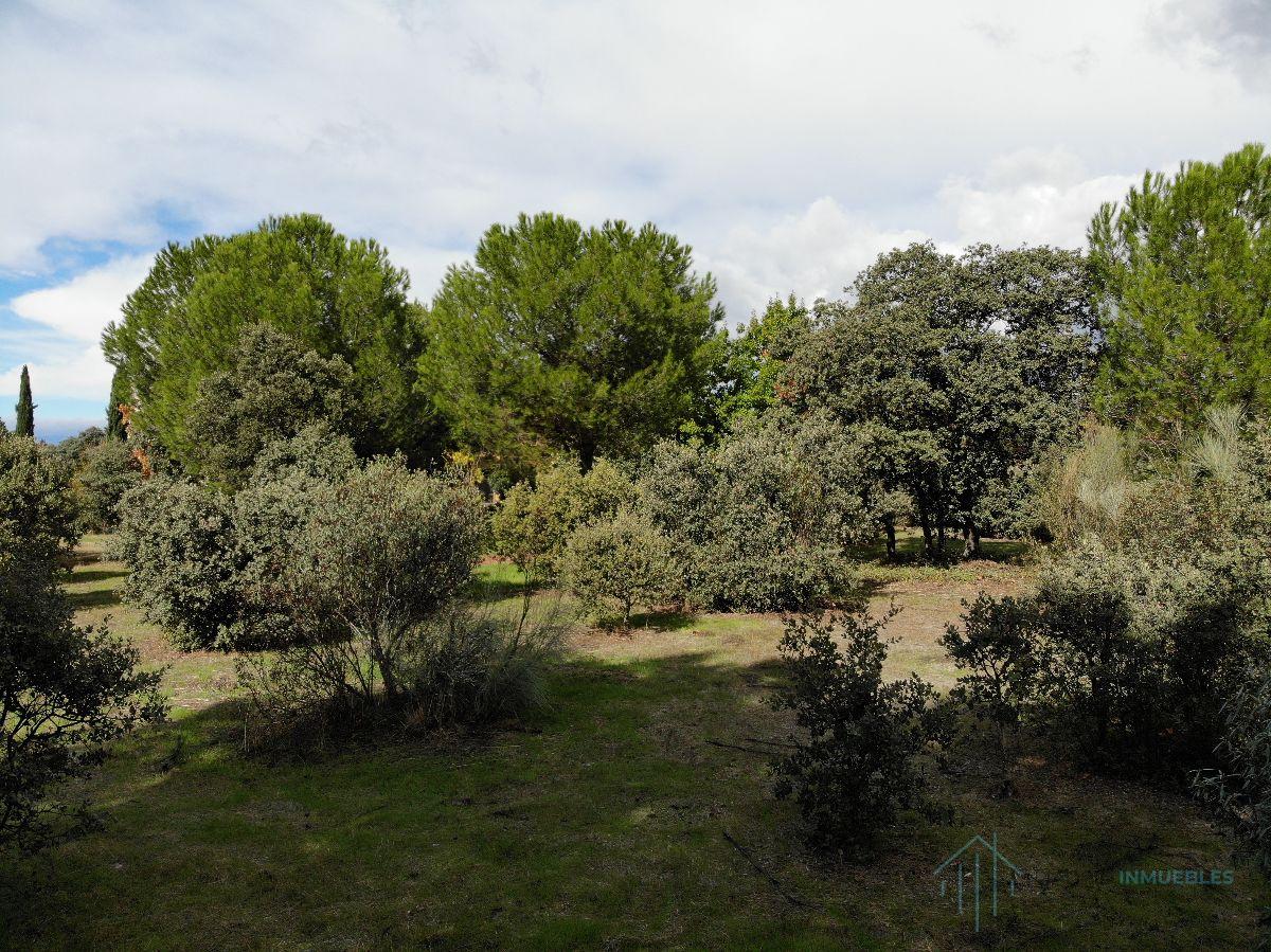 For sale of land in Pozuelo de Alarcón