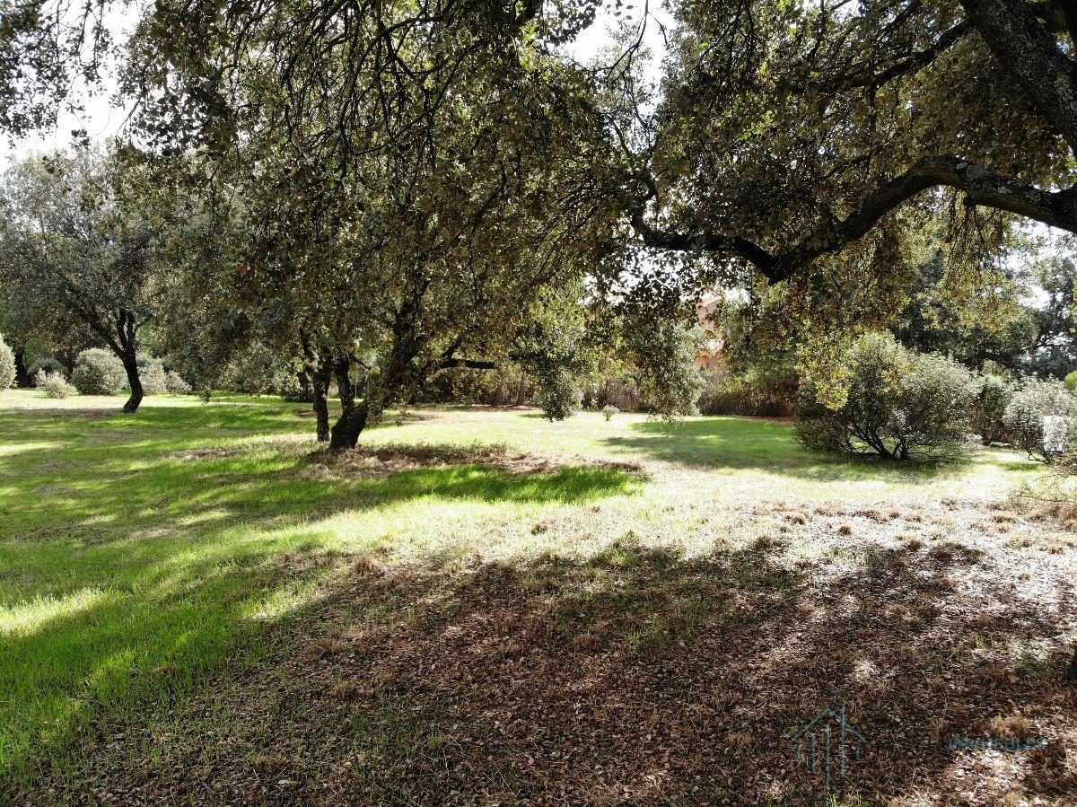 For sale of land in Pozuelo de Alarcón