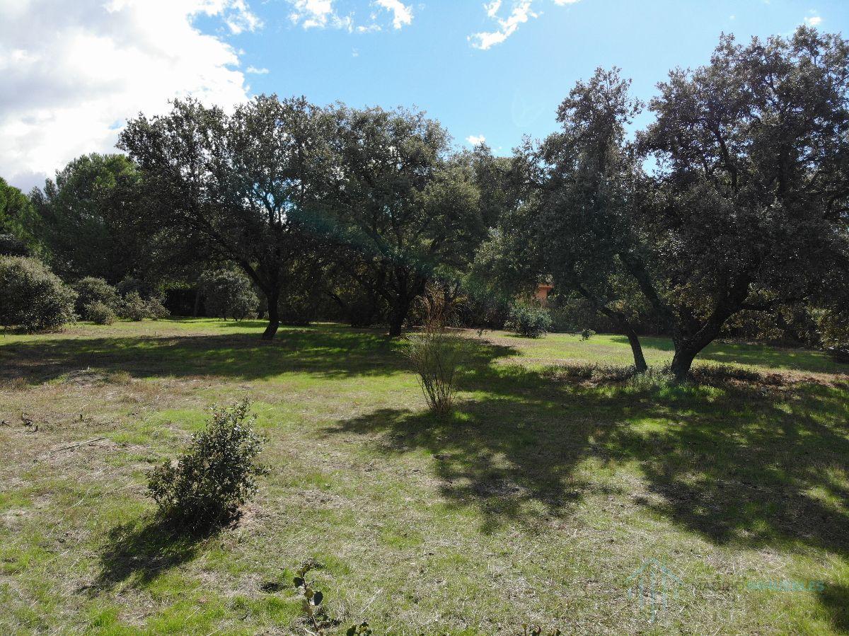 For sale of land in Pozuelo de Alarcón