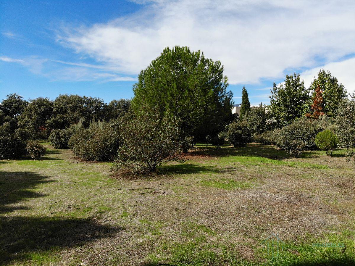For sale of land in Pozuelo de Alarcón