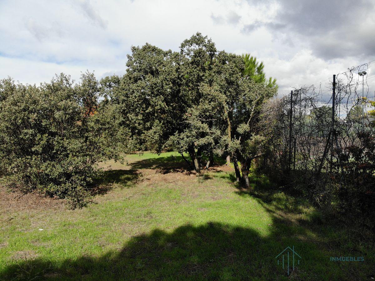 For sale of land in Pozuelo de Alarcón