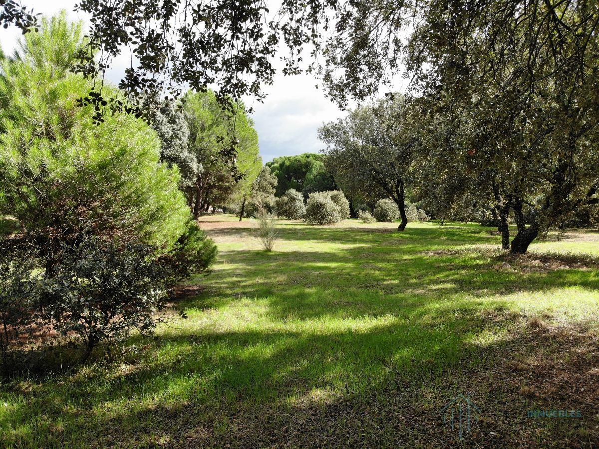 For sale of land in Pozuelo de Alarcón