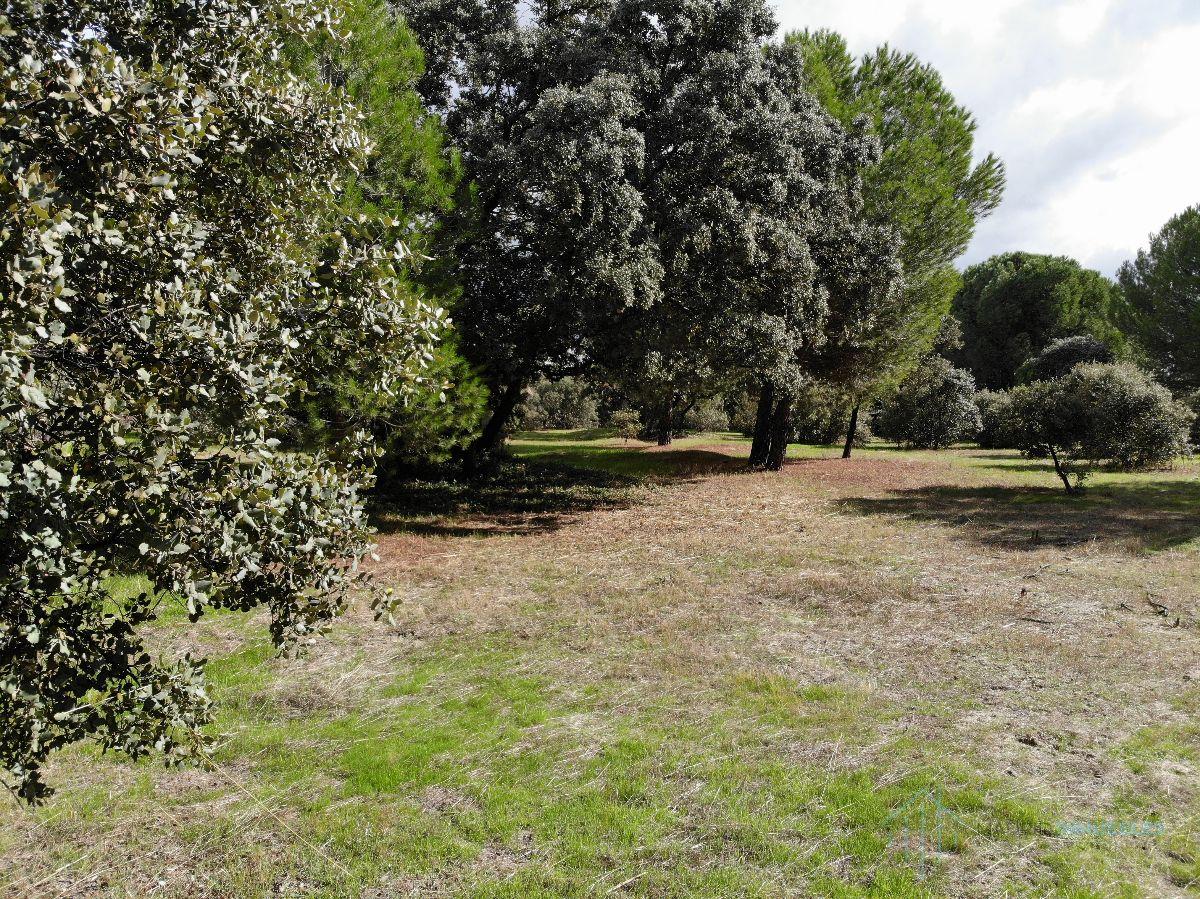 For sale of land in Pozuelo de Alarcón