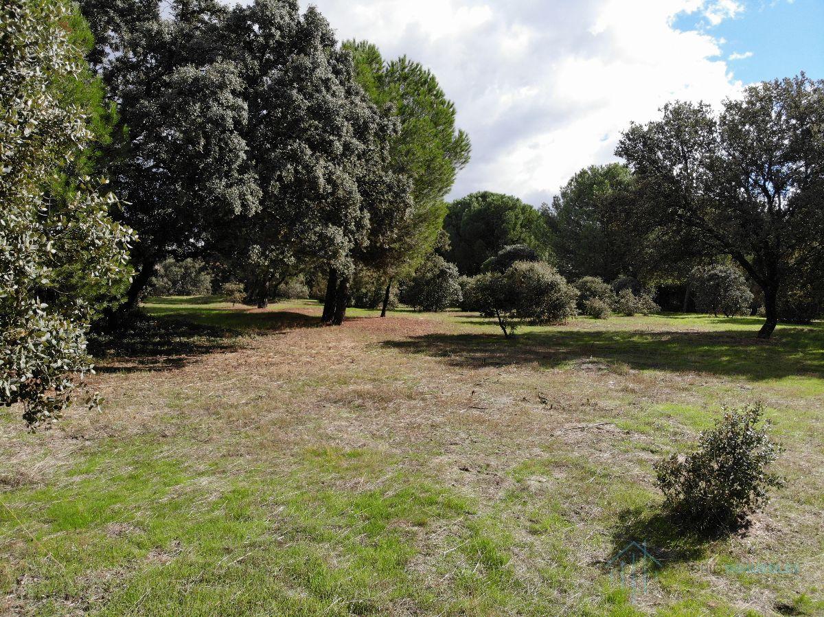 For sale of land in Pozuelo de Alarcón
