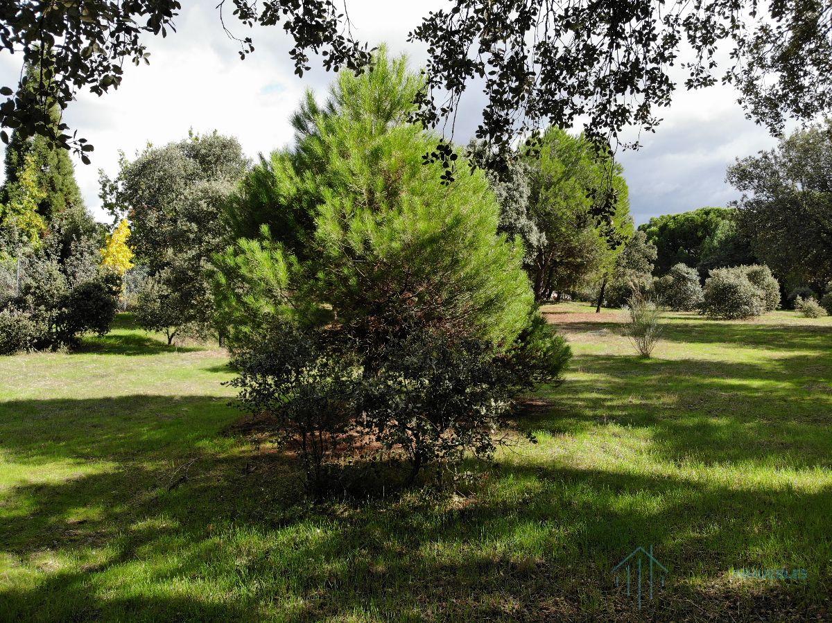 For sale of land in Pozuelo de Alarcón