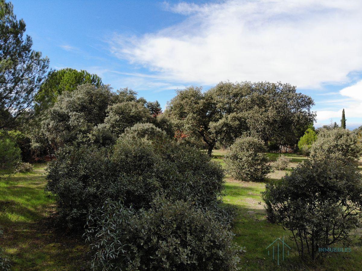 For sale of land in Pozuelo de Alarcón