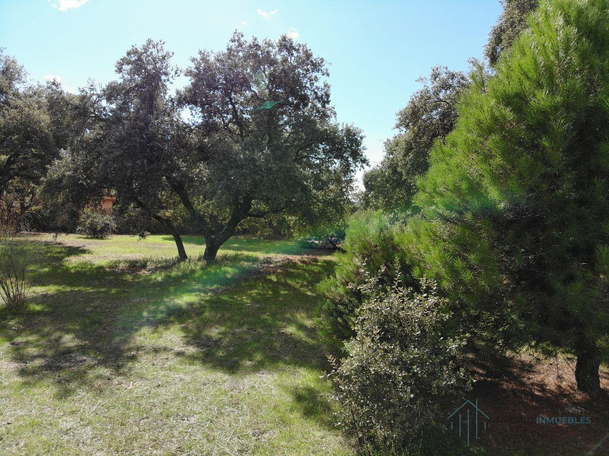 For sale of land in Pozuelo de Alarcón