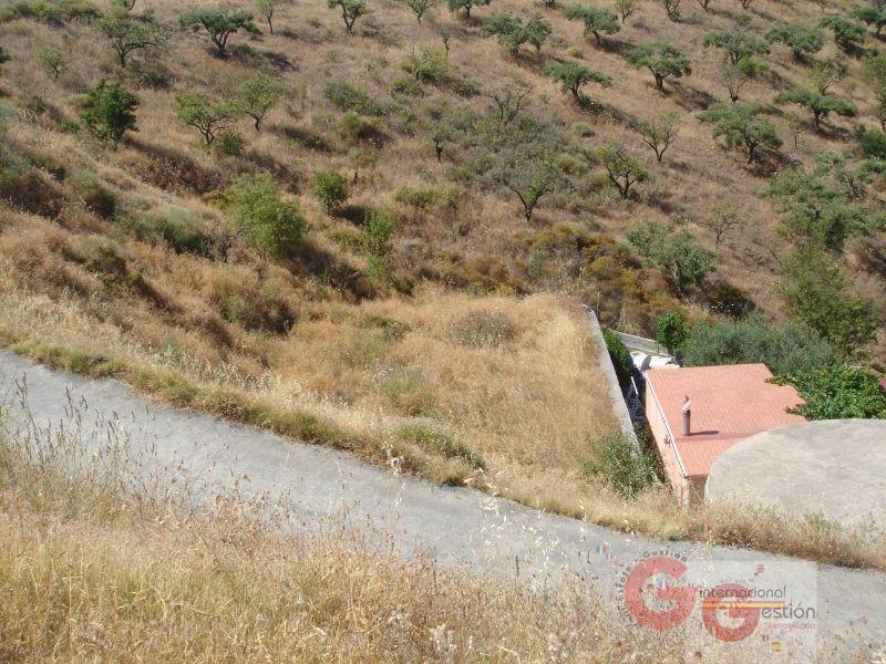 Vente de terrain dans Almuñécar