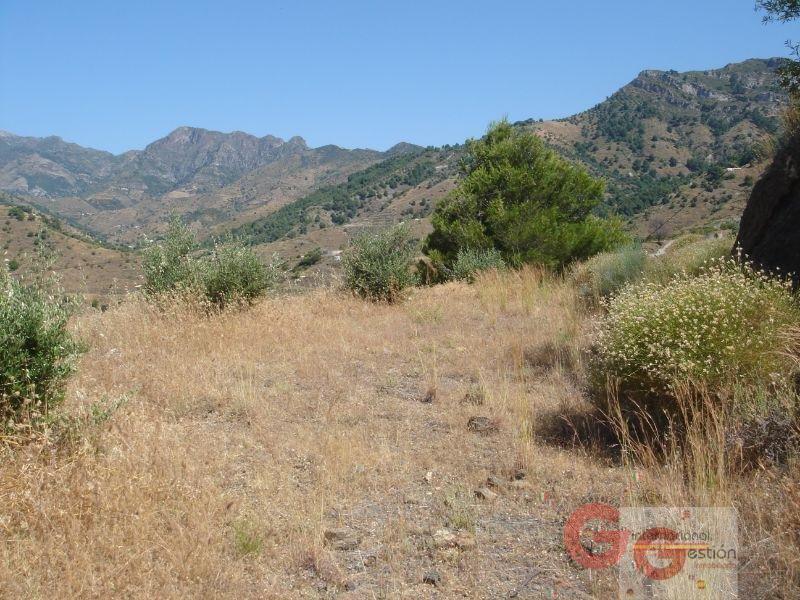 For sale of land in Almuñécar