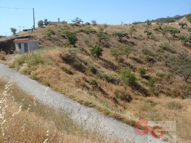 For sale of land in Almuñécar