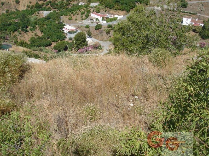 For sale of land in Almuñécar