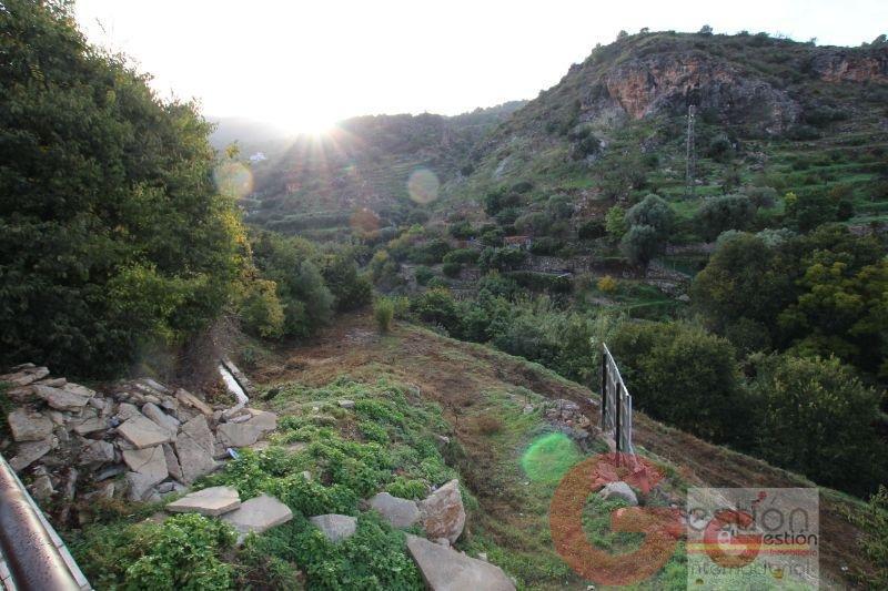 Venta de terreno en Vélez de Benaudalla Venta de terreno en Vélez de Benaudalla