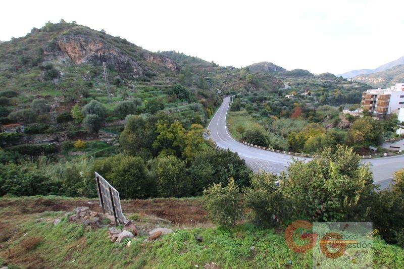 Vente de terrain dans Vélez de Benaudalla