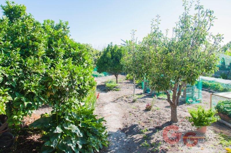 Venta de finca rústica en Salobreña