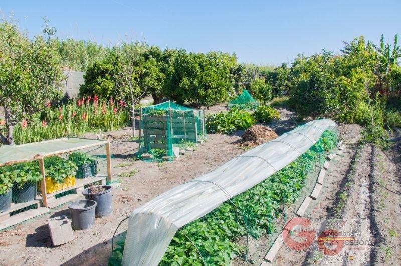 Venta de finca rústica en Salobreña