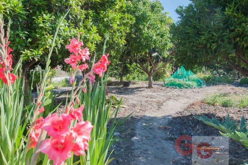 Venta de finca rústica en Salobreña