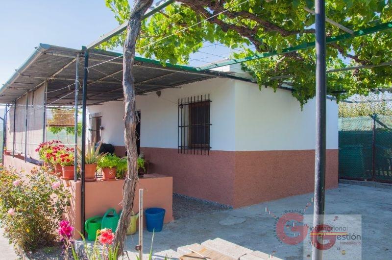 Venta de finca rústica en Salobreña