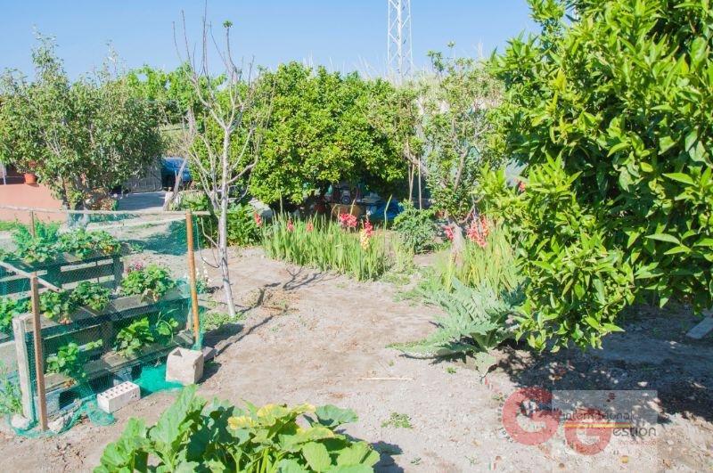 Venta de finca rústica en Salobreña