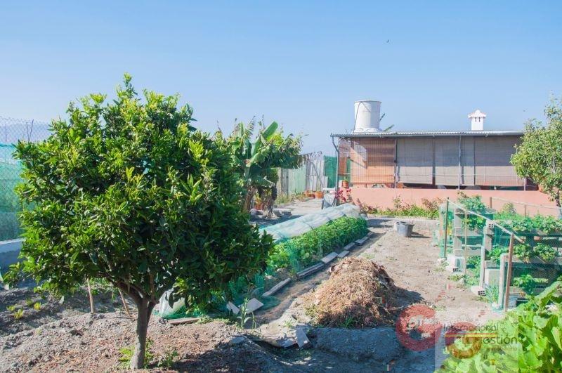 Venta de finca rústica en Salobreña